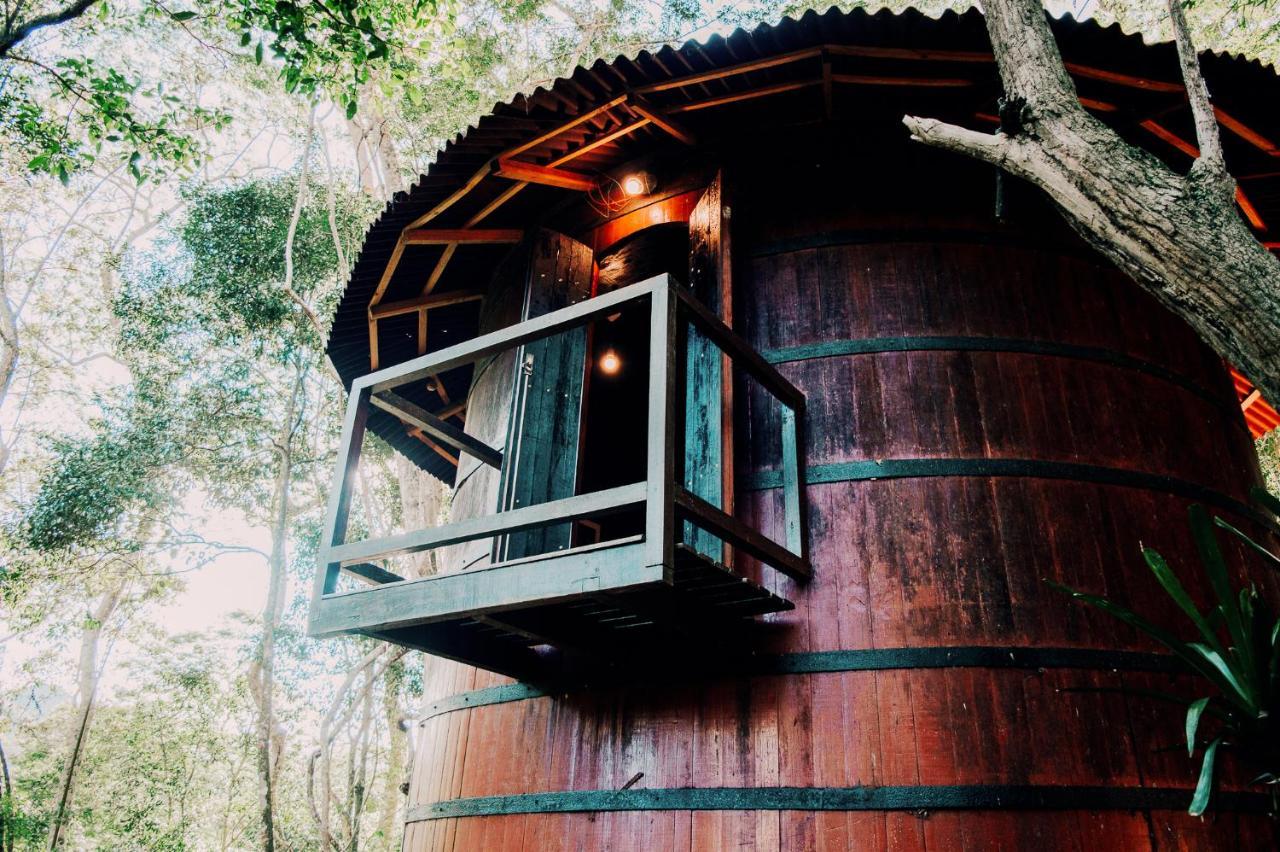 Luxury tent Pipa Merlot